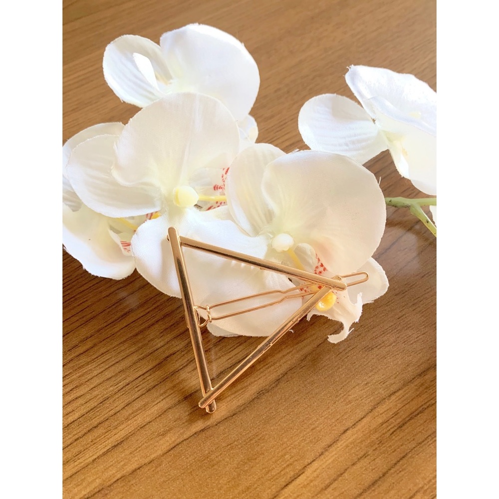 NEW! TRIANGLE HAIR CLIP